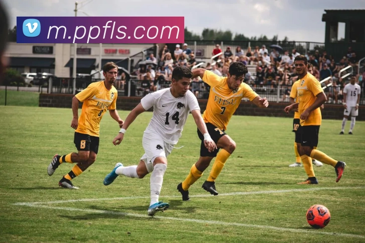 开云体育，kaiyun登录入口，kaiyun开云，开云体育股份有限公司APP 封面图